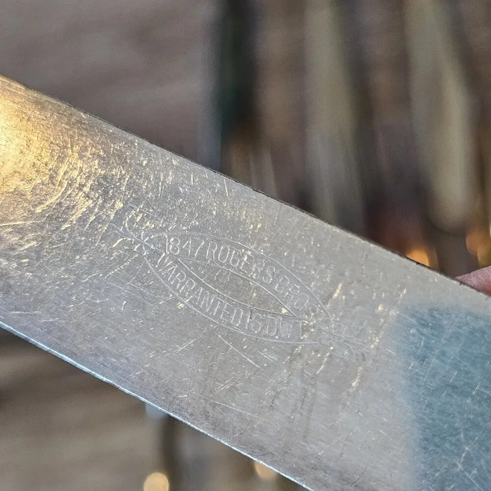 1847 Rogers Bros silver polished