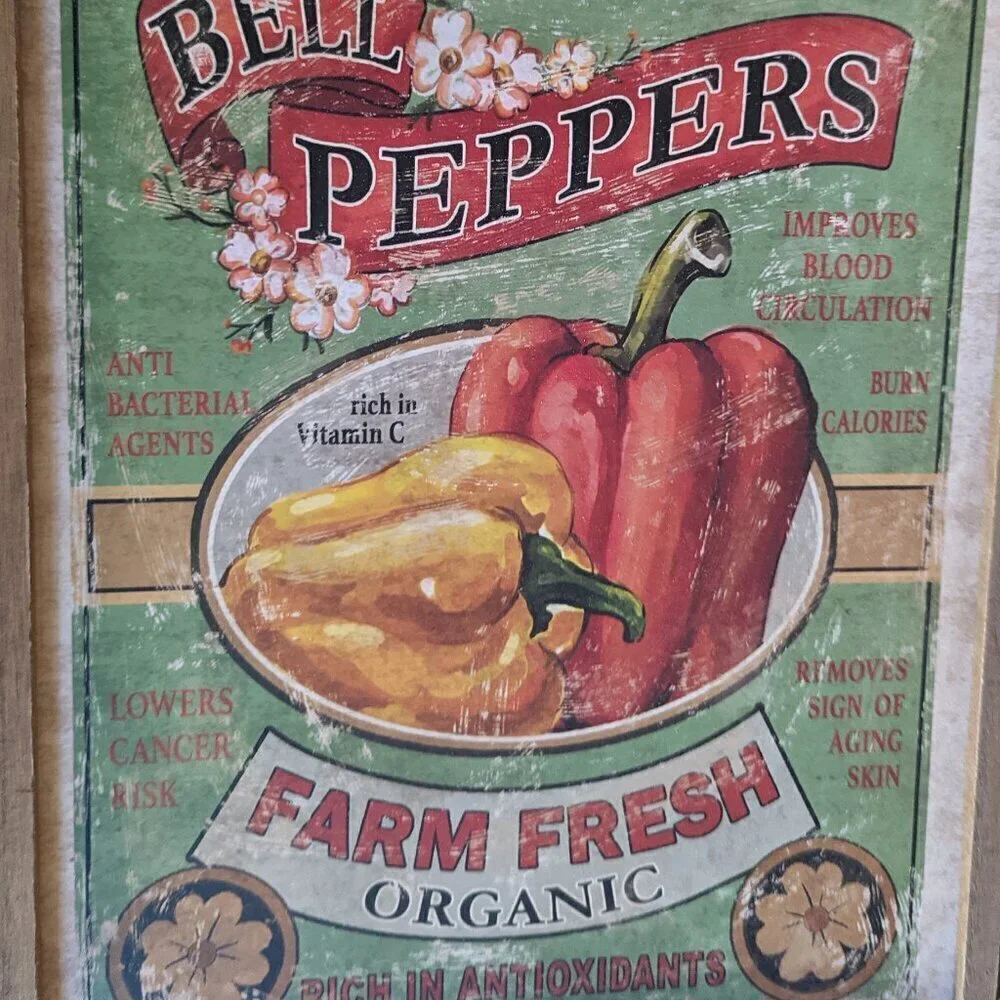 NWT Bell Pepper Farm Fresh Vegetable Print Farmhouse Rustic Wall Decor Michael's