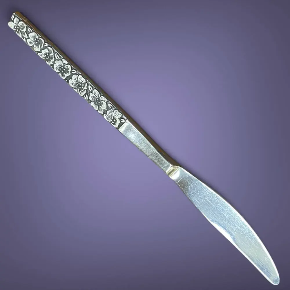 Oneida OHS46 One Butter Knife Flatware Stainless Steel  70s Replacement Crafting