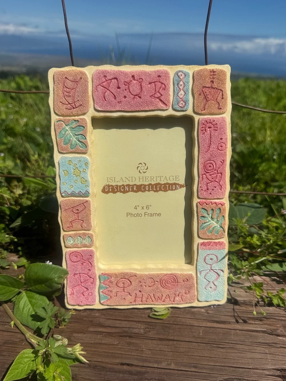 New Island Heritage Hawaiian petroglyphnature motifs Tropical Picture Frame