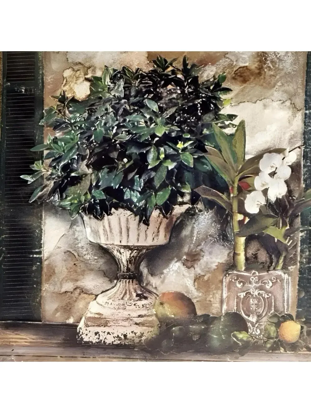 N/A charming pair