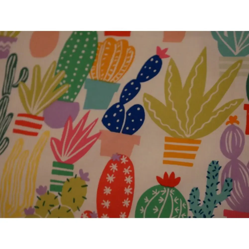Indigo Dreams Studio these cactus
