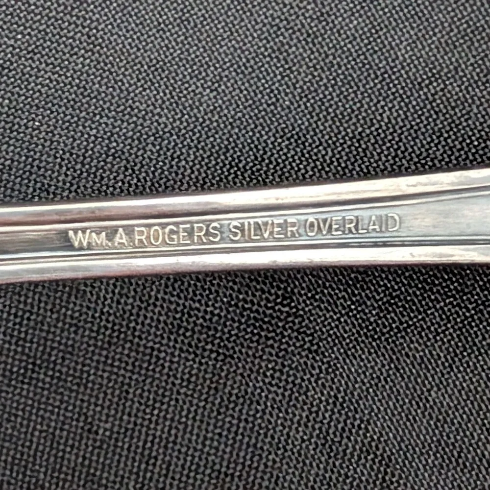 William A. Rogers gravy etching cleaning