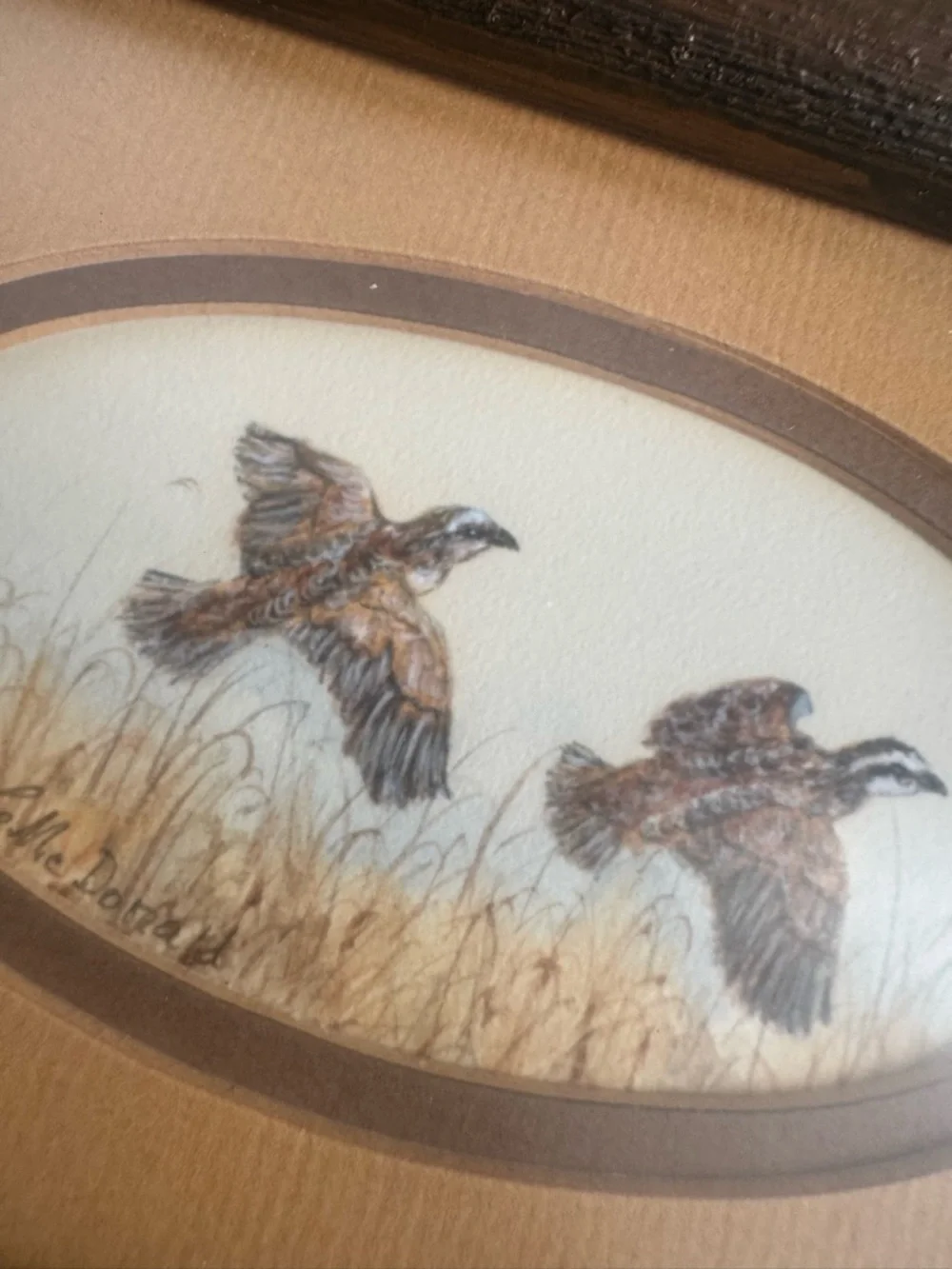 Original Rustic Brown Framed Game Bird Art Print - Home Accents