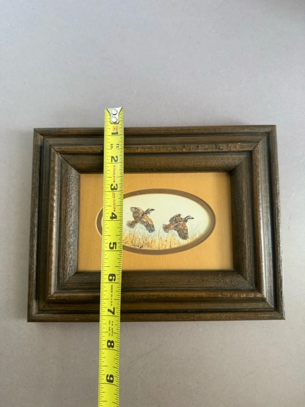 Original Rustic Brown Framed Game Bird Art Print - Home Accents