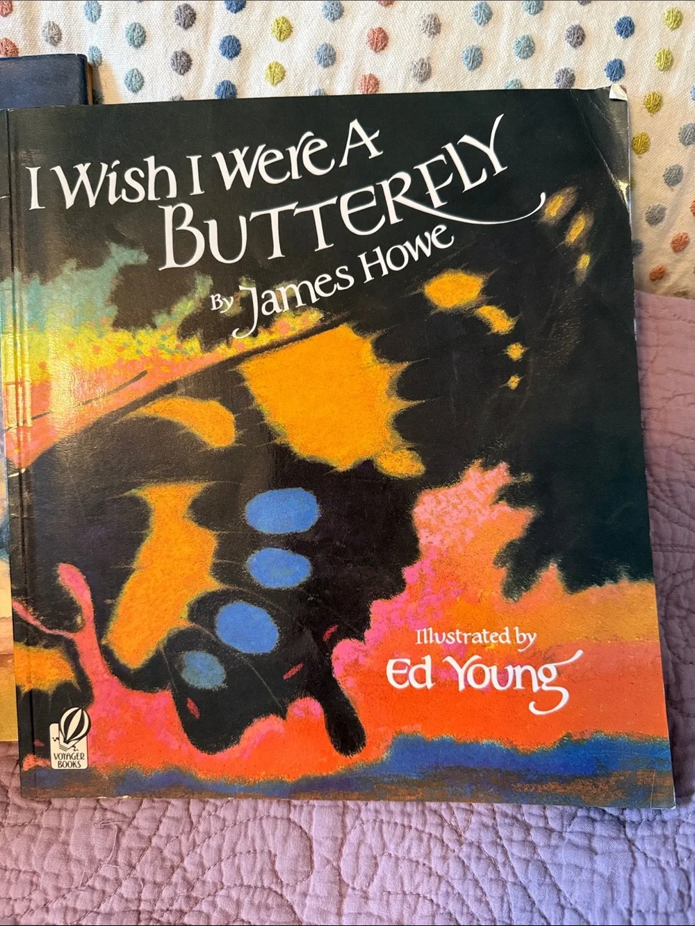 Set of 3 Kids Picture Books