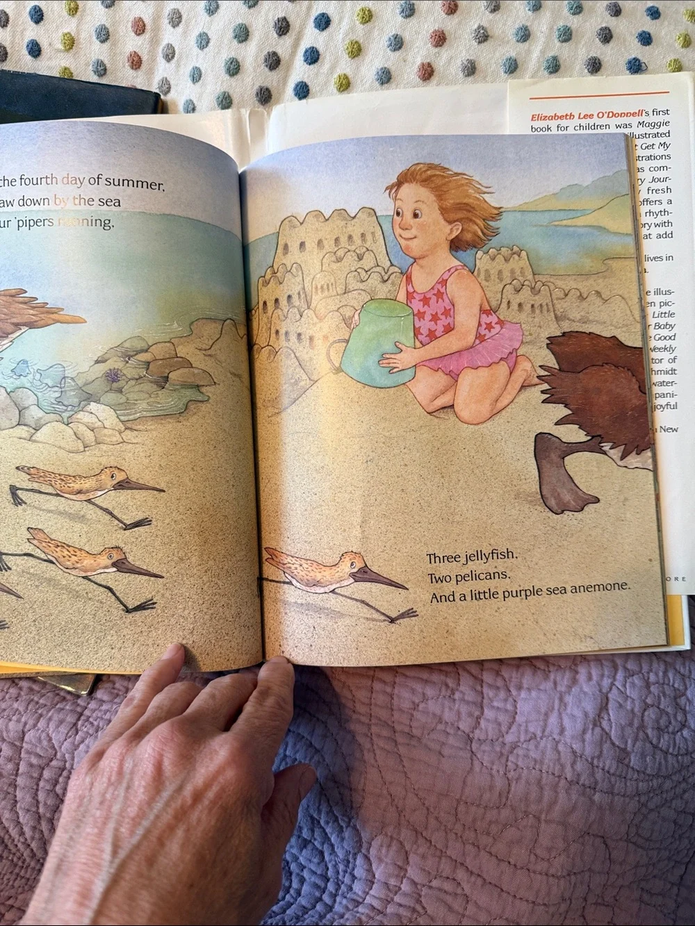 Set of 3 Kids Picture Books