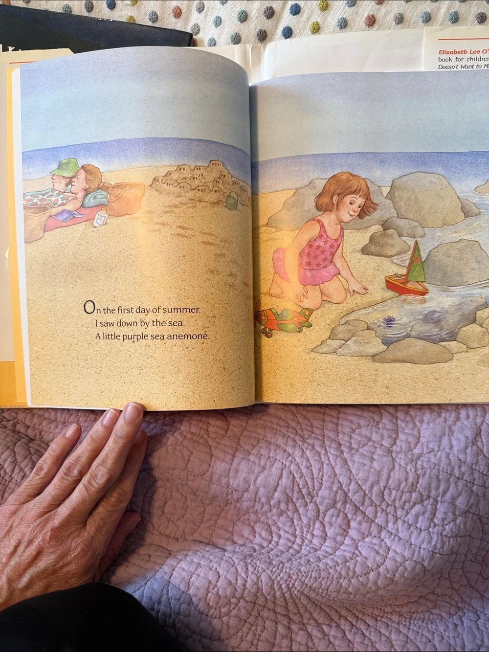 Set of 3 Kids Picture Books