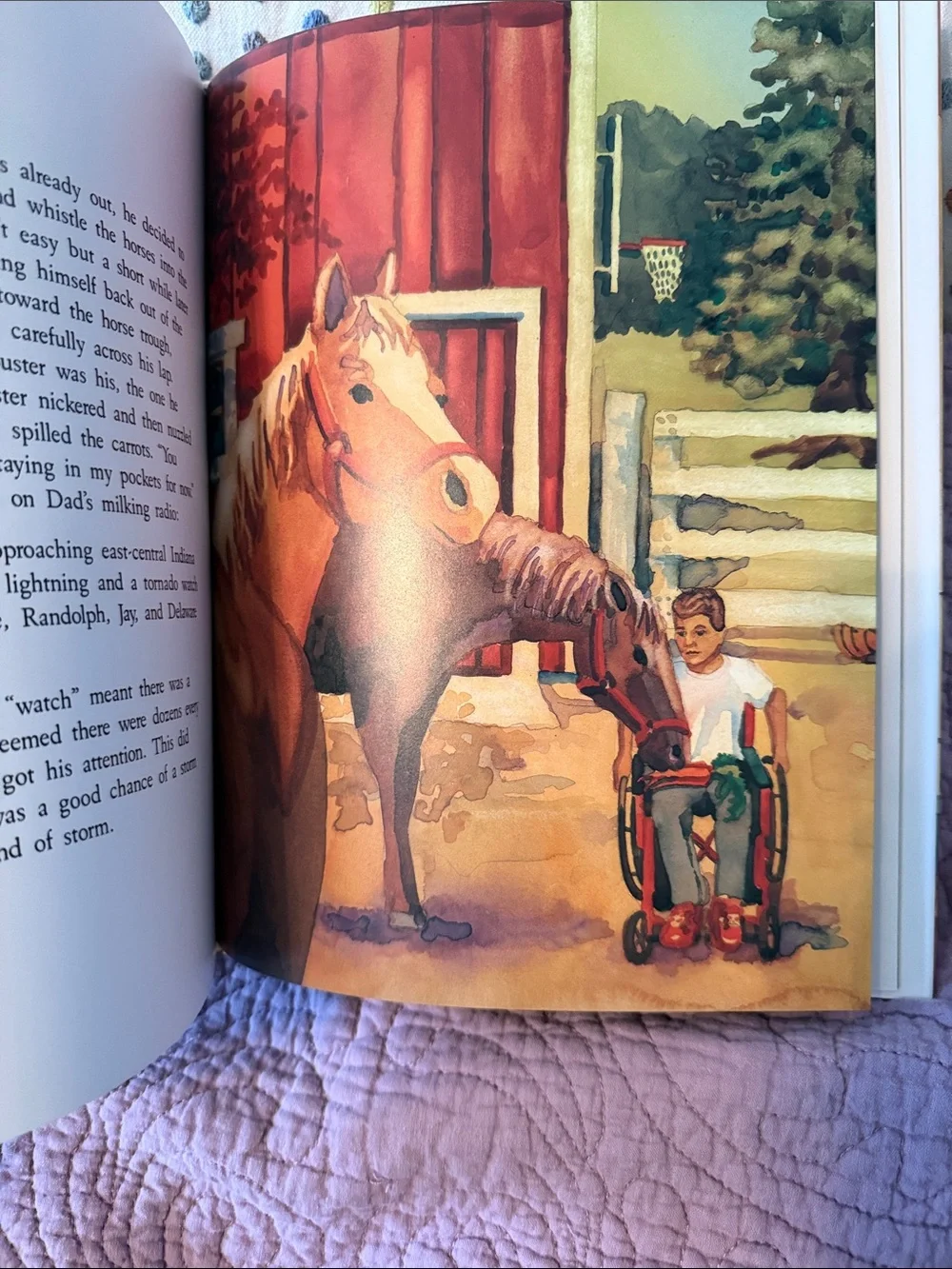 Set of 3 Kids Picture Books