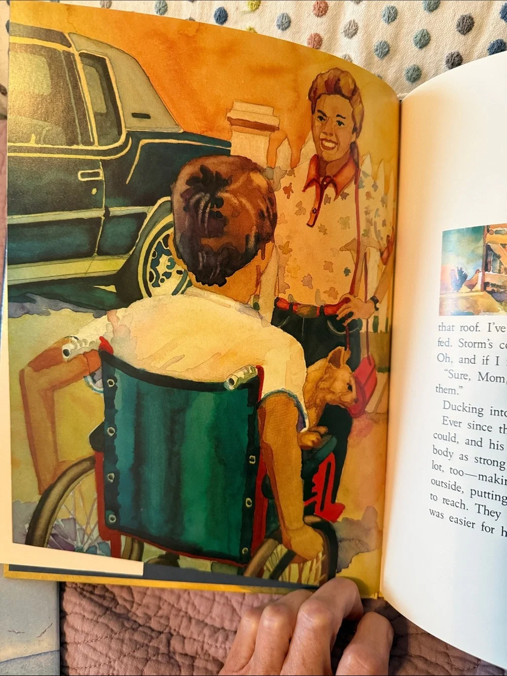 Set of 3 Kids Picture Books