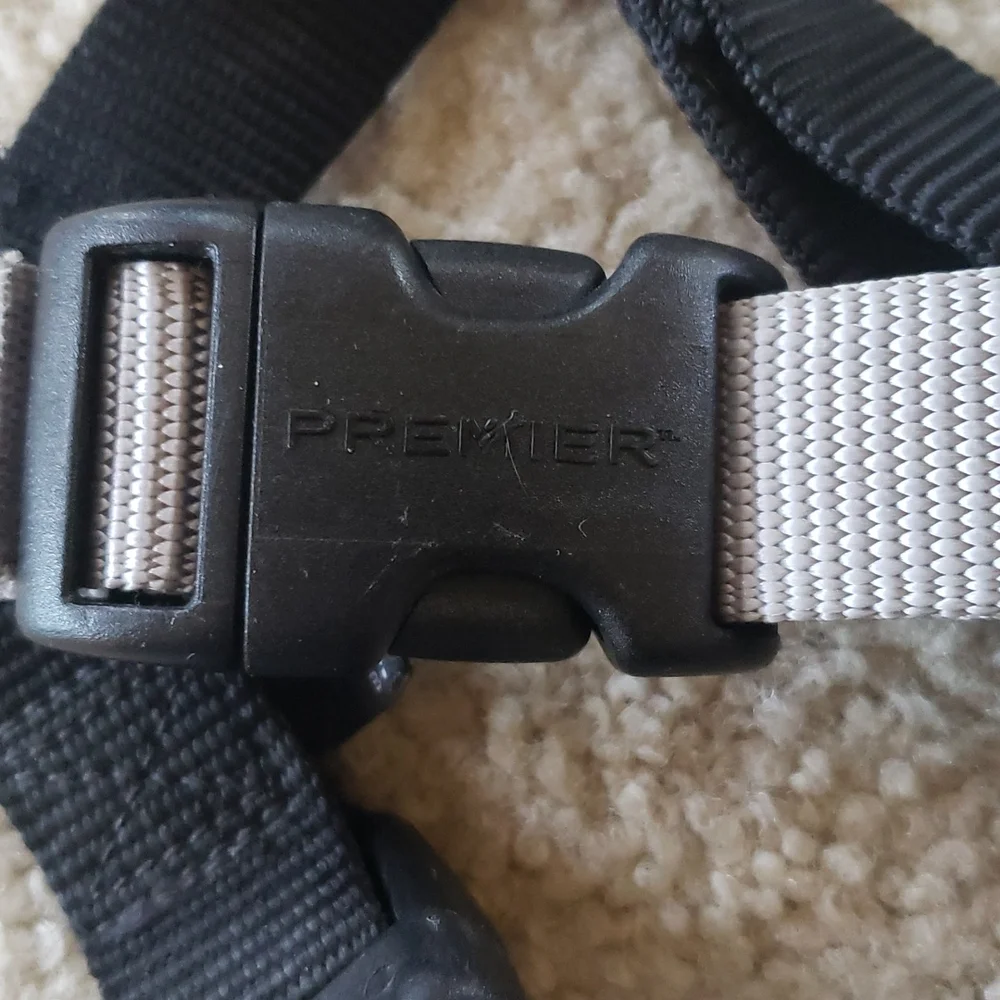 Pet Safe or large