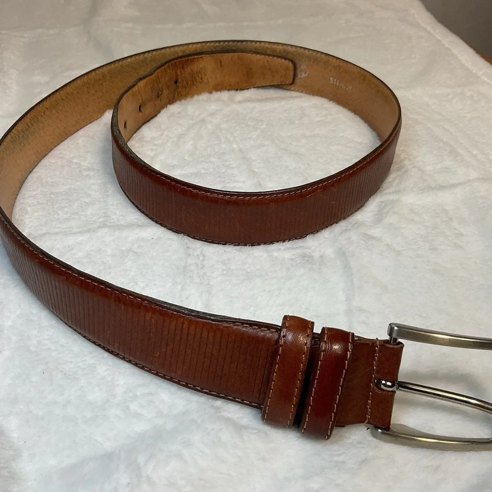Aponte *total length