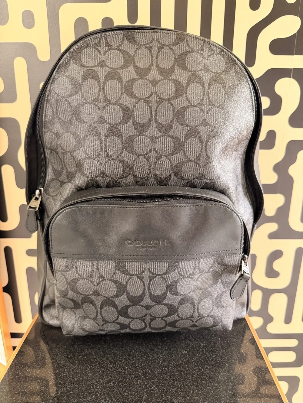 COACH Houston Back pack F72483