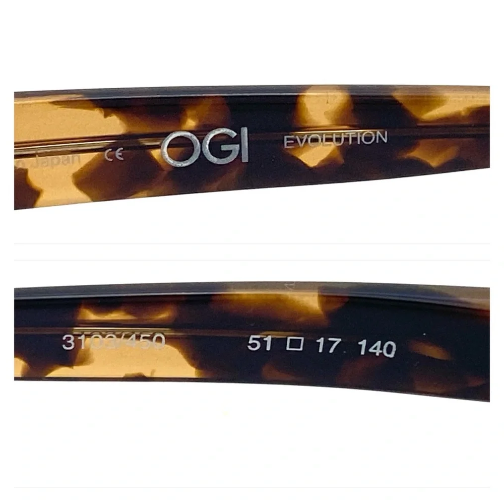 OGI brand evolution