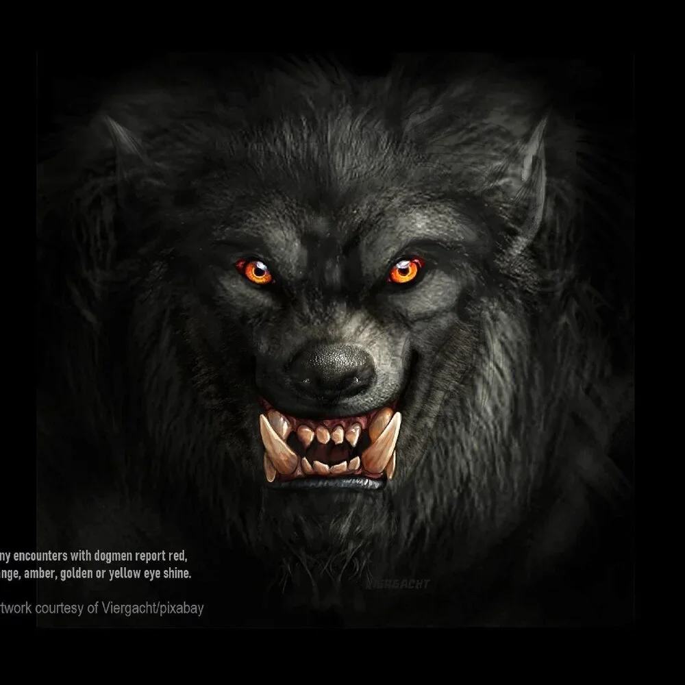 The Crafty Hobbit dogman 2027