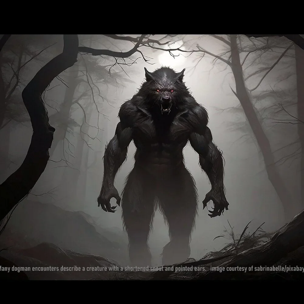 The Crafty Hobbit dogman 2027