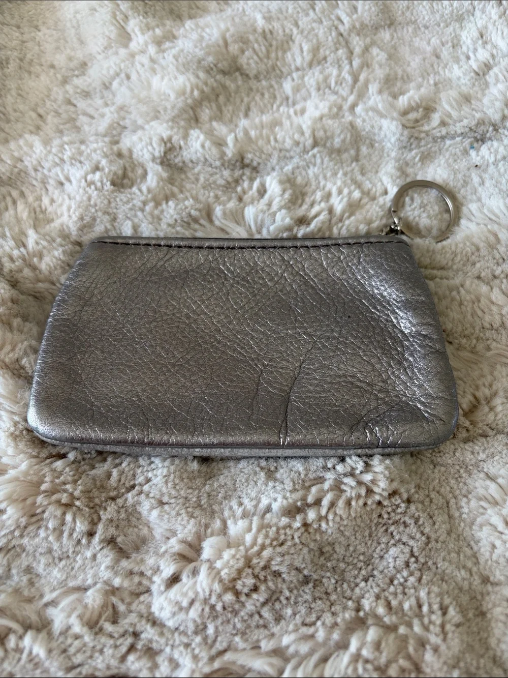 Lynn Tallerico sleek metallic