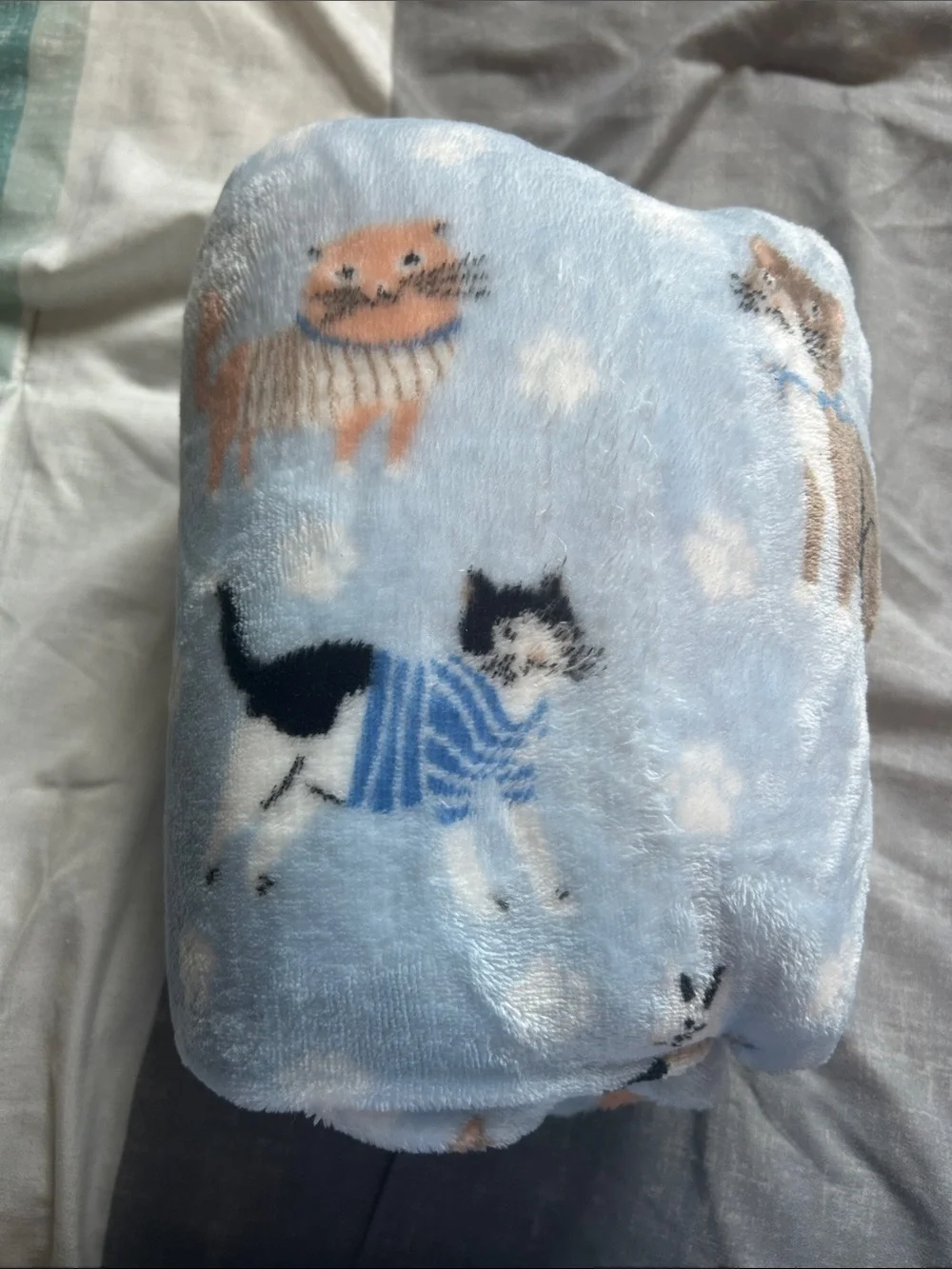 Soft Light Blue Cat Pattern Blanket