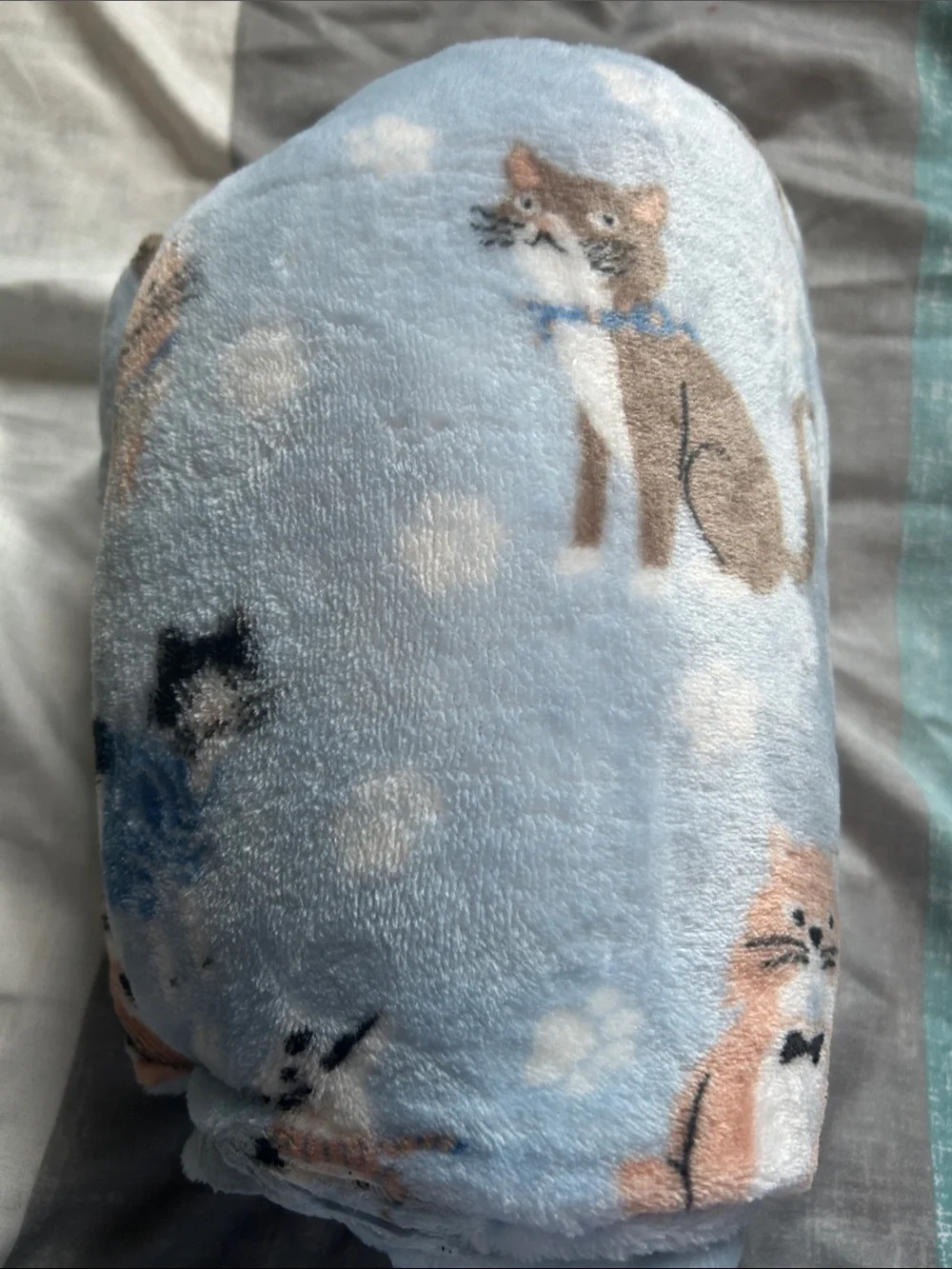 Soft Light Blue Cat Pattern Blanket