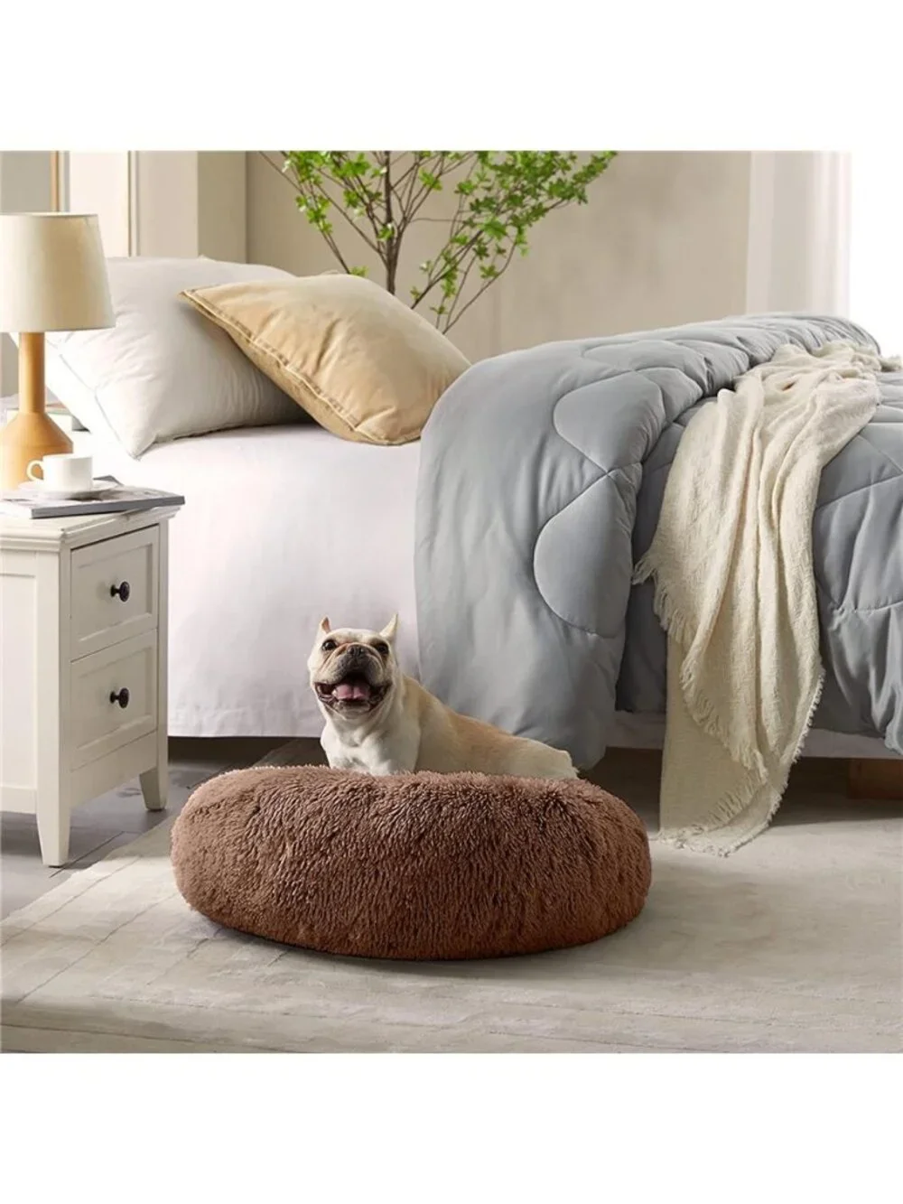 N/A comfortable dog