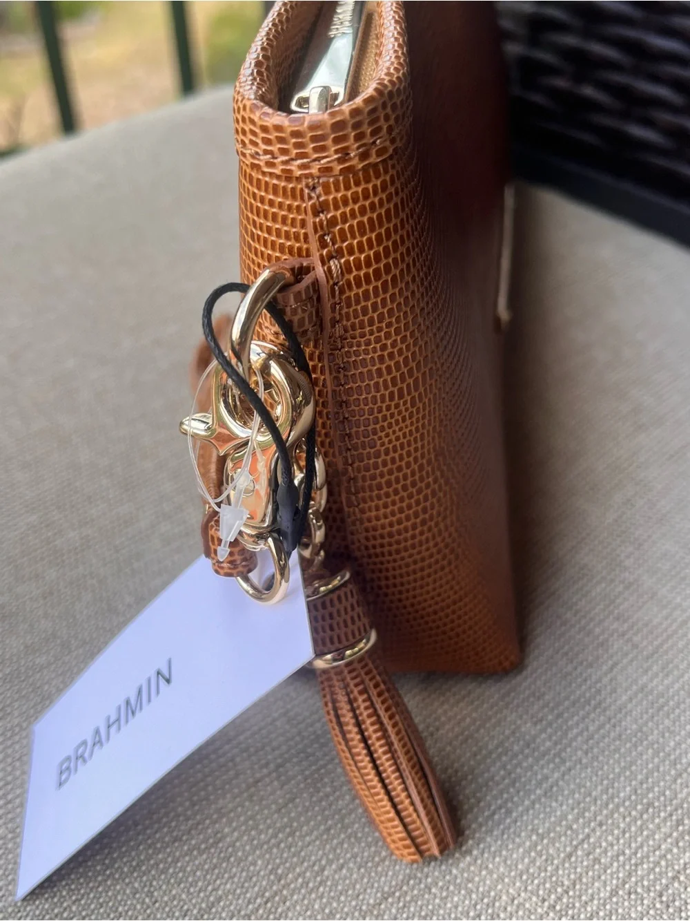 Brahmin 🌹the kayla
