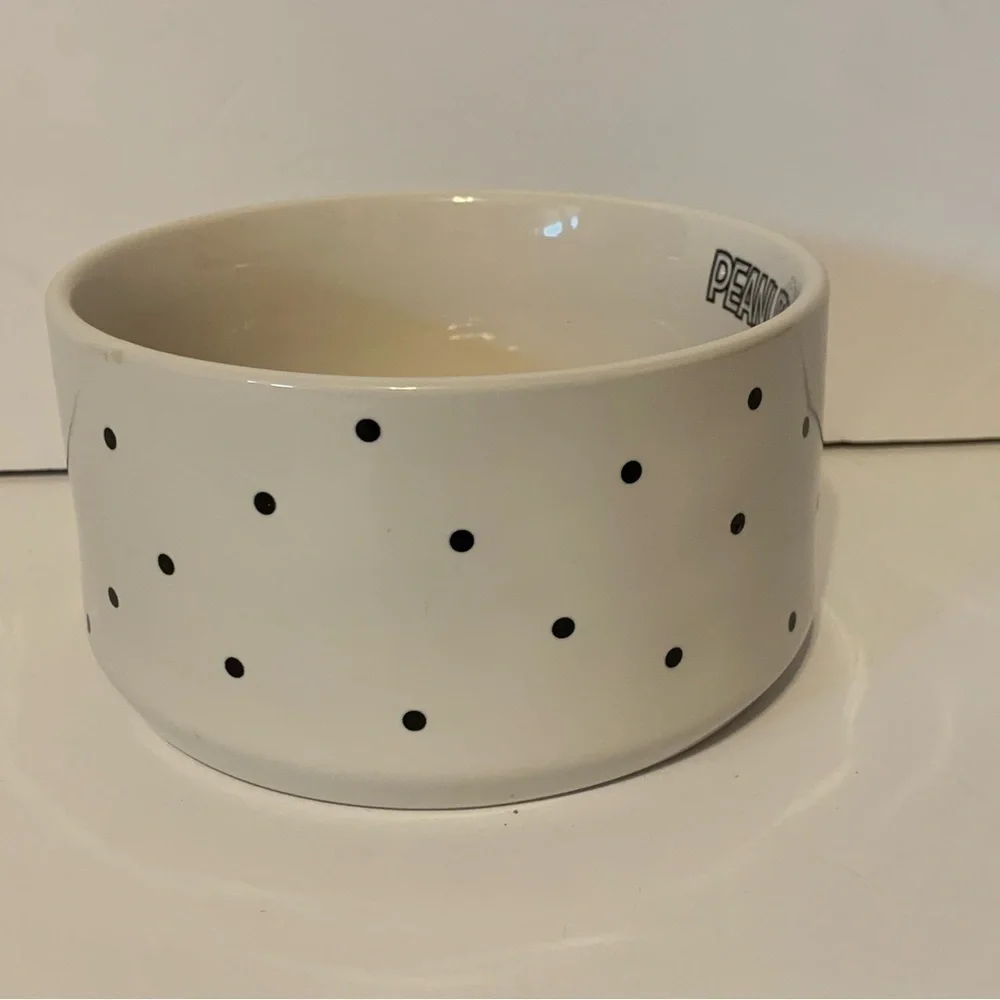 NWT. RAE DUNN X PEANUTS Snoopy Spooktacular Candy Bowl/Pet