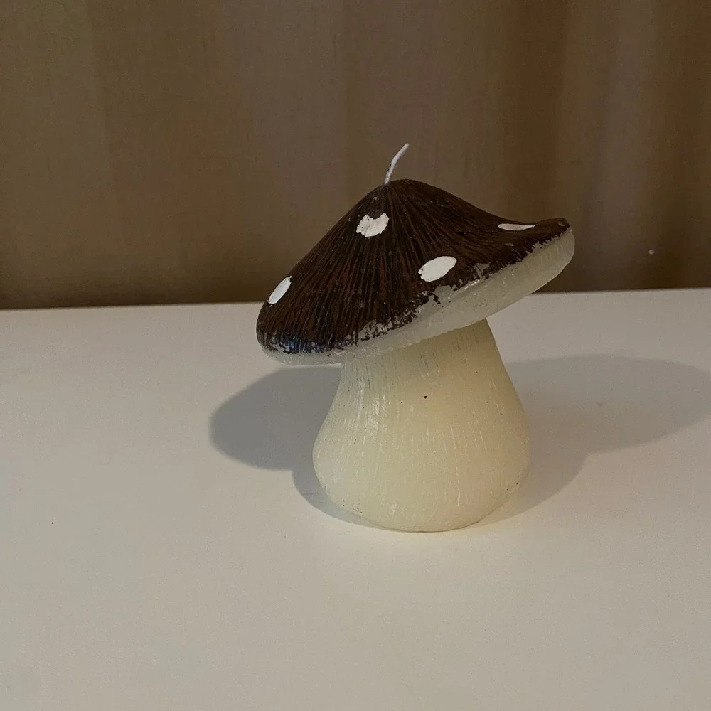 N/A enchanting mushroom