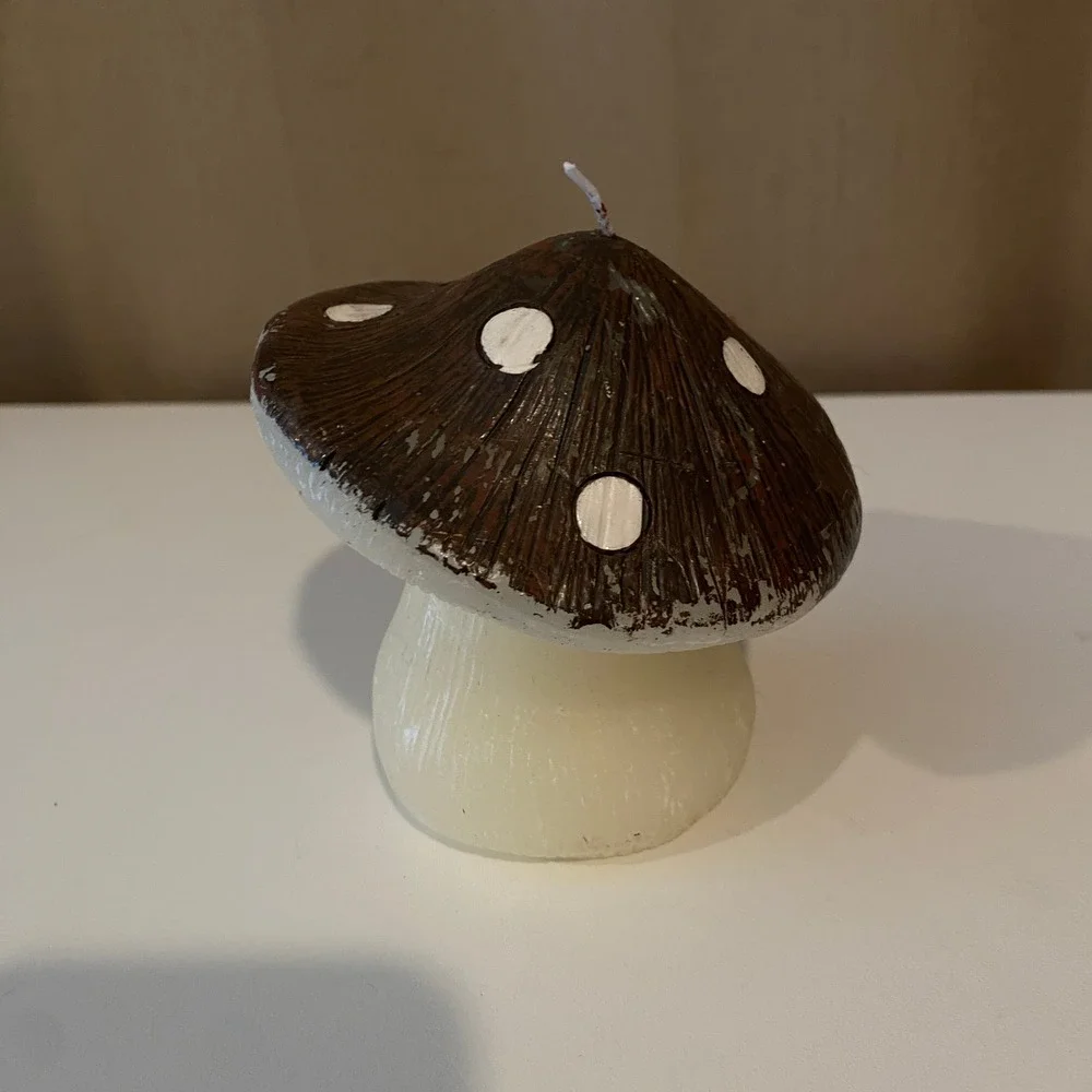 N/A enchanting mushroom