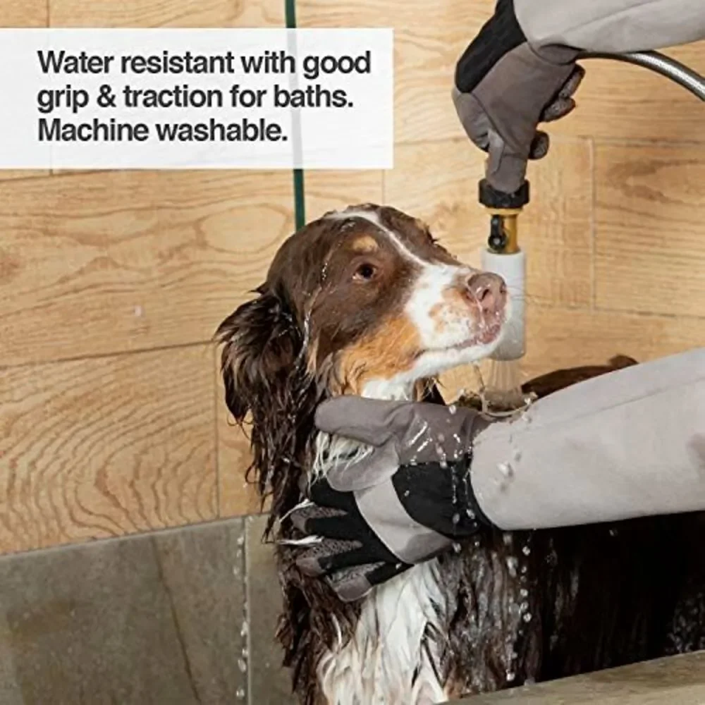 Does not apply pair petfusion