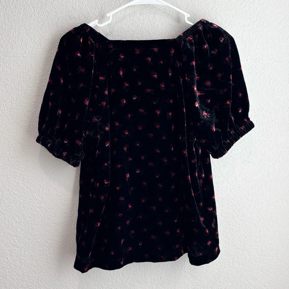 LOFT nwt velvet