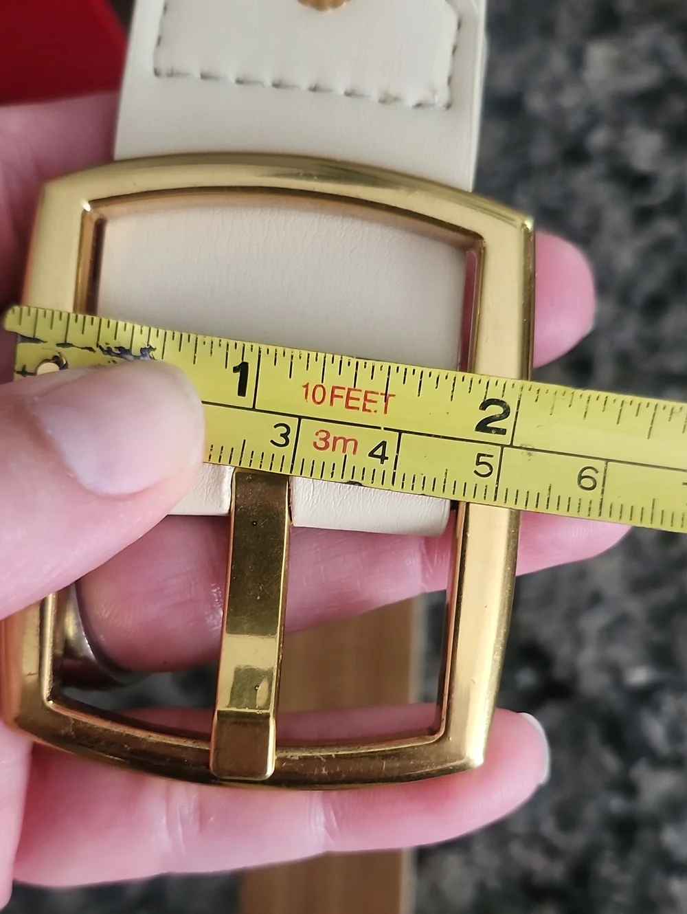 NWT Anne Klein Beige Faux Leather Belt with Gold Buckle and Snake-Print Inlay