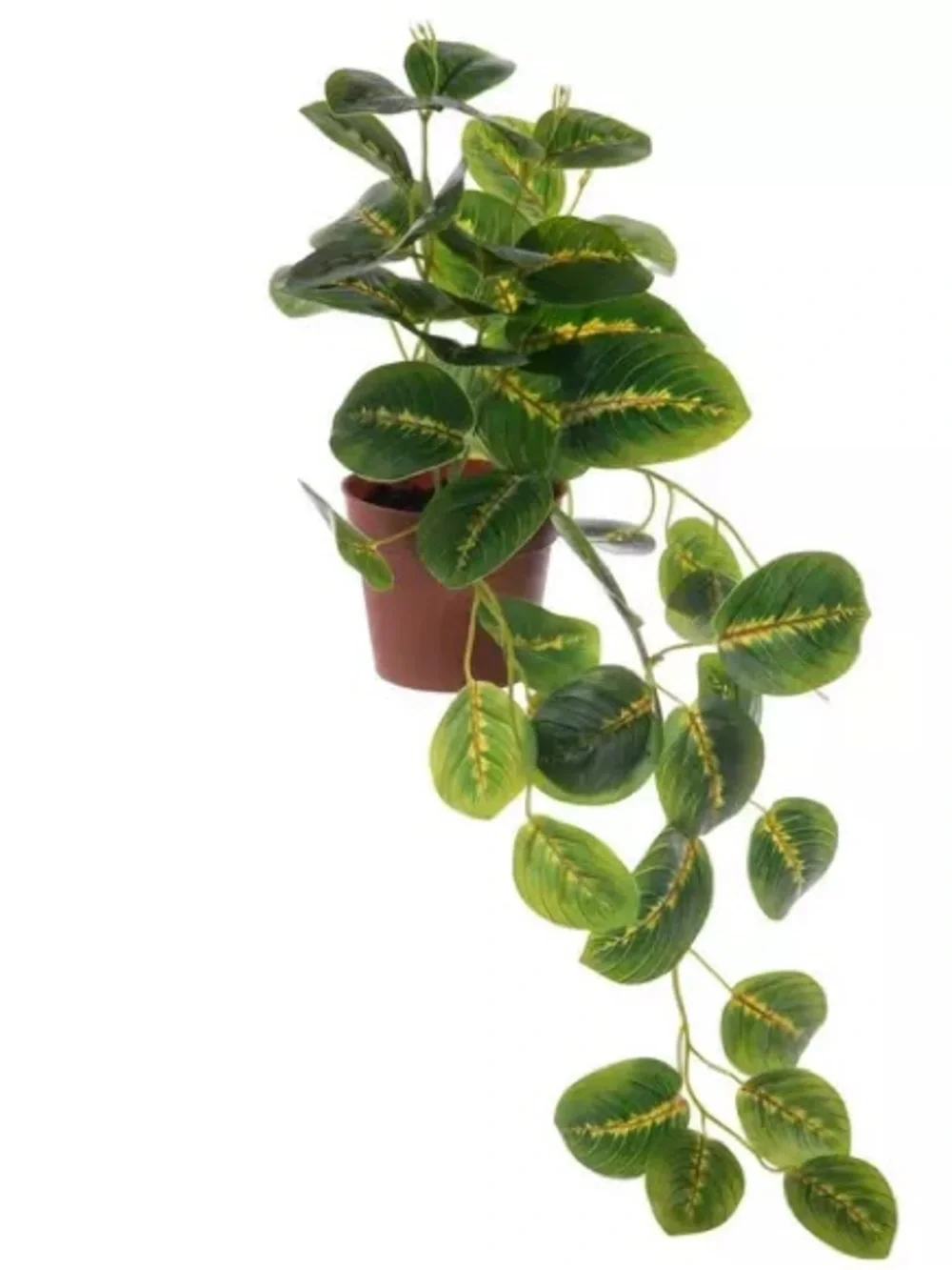 Hobby Lobby Faux Maranta Leaf “Prayer Plant” Set of 2, LIKE NEW