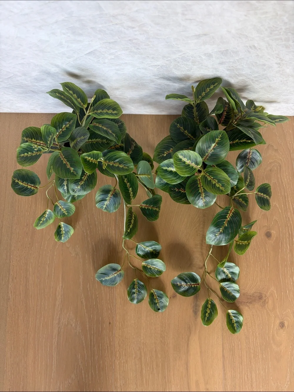 Hobby Lobby plant measures