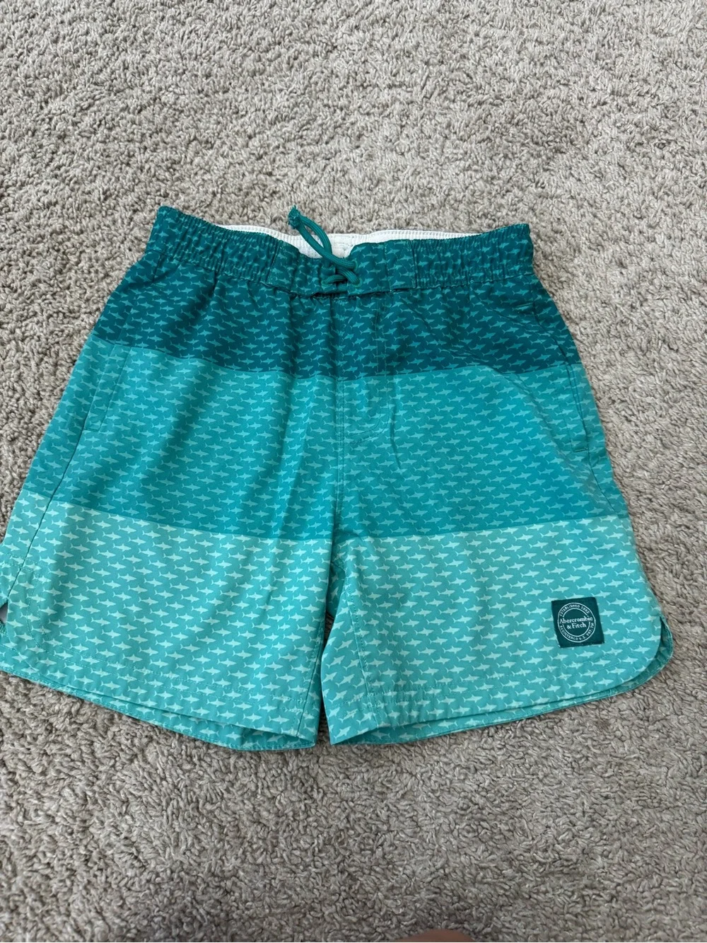 Abercrombie Kids Teal Swim Trunks