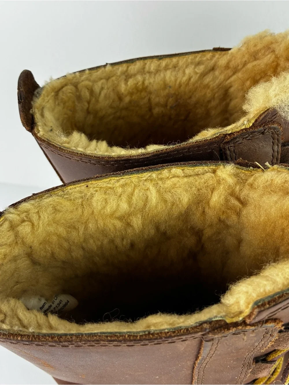 L.L. Bean bean “wicked