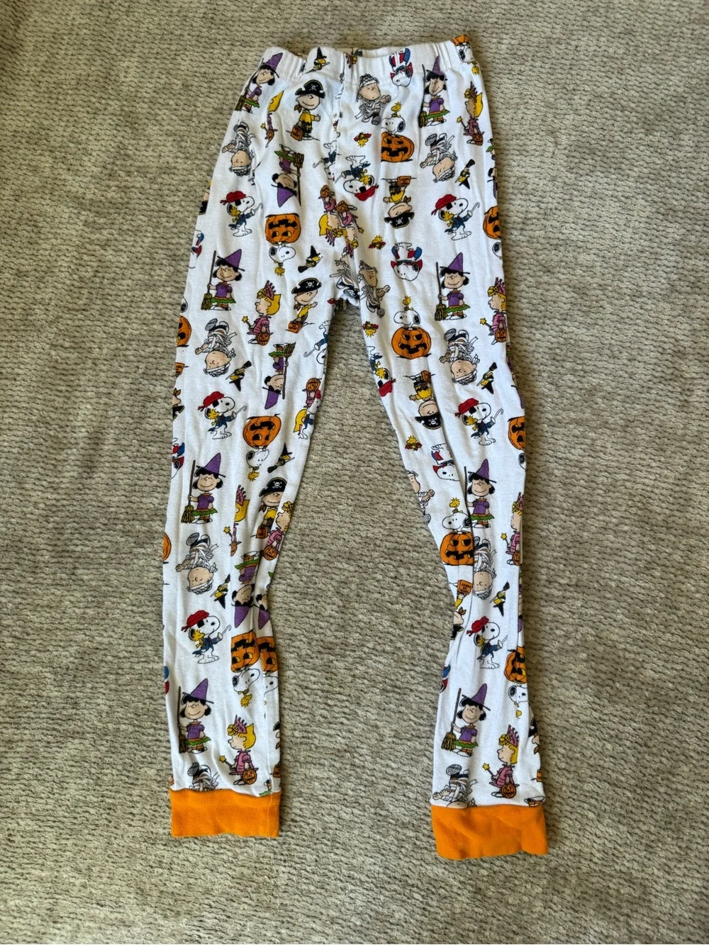 Peanuts festive halloween