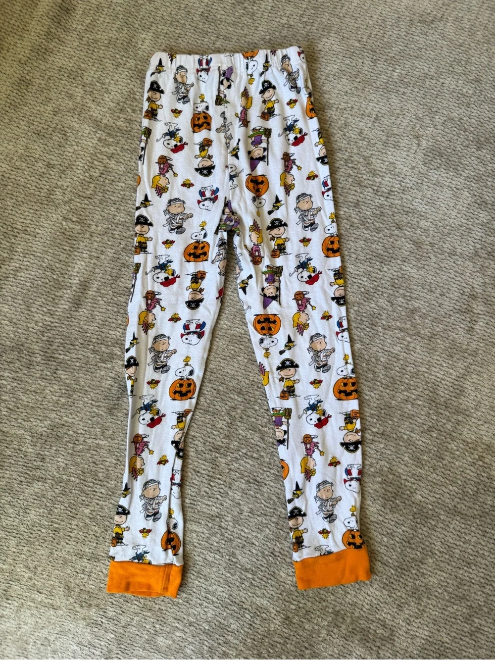 Peanuts festive halloween