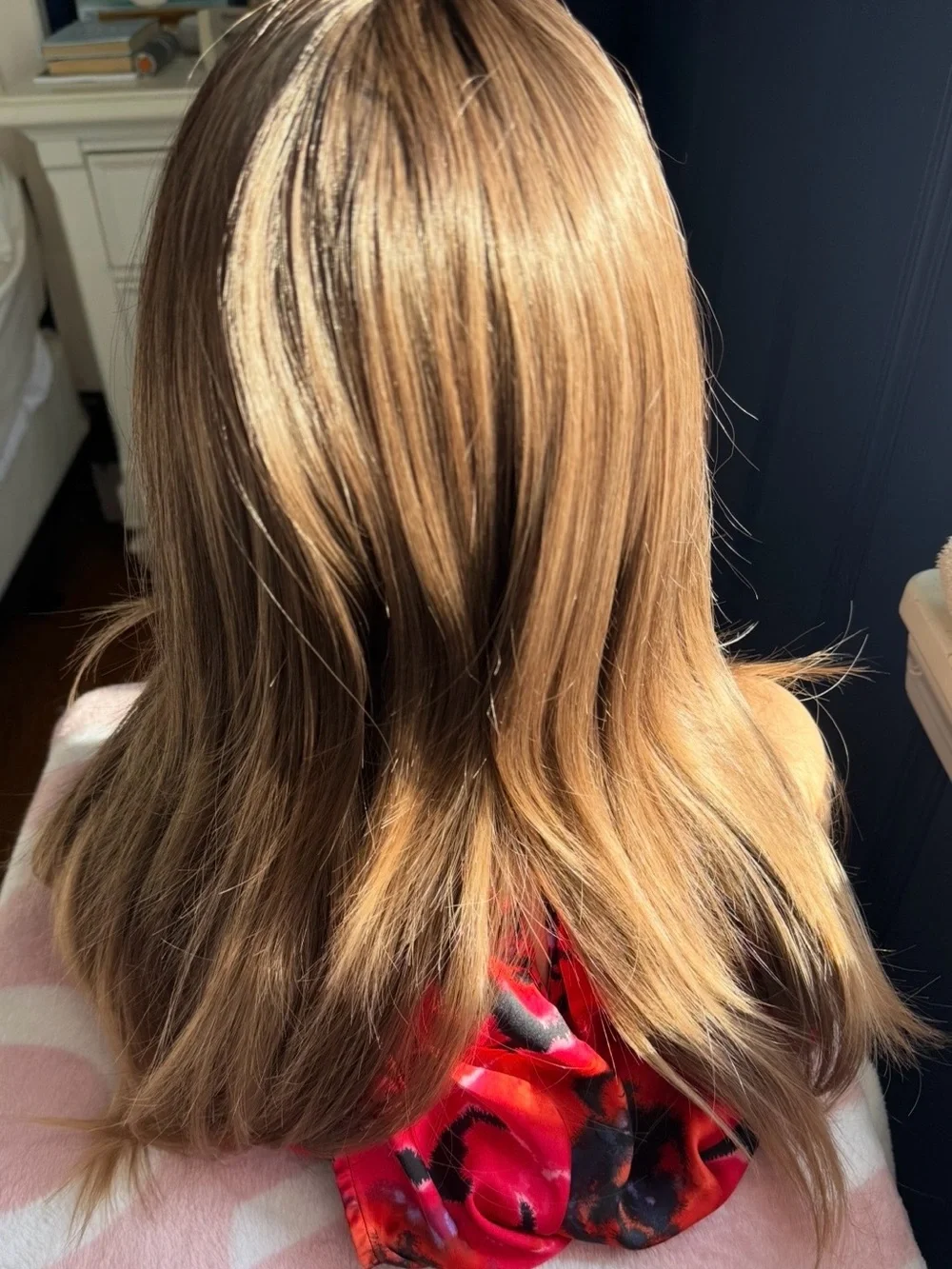 Avalon Brown Sugar Layered Long Wig in Light Brown with Honey Highlights