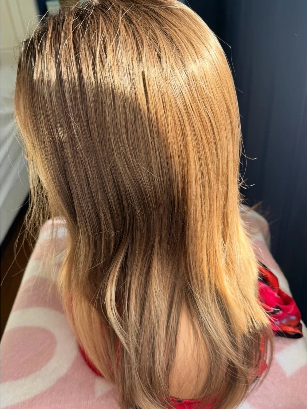 Avalon Brown Sugar Layered Long Wig in Light Brown with Honey Highlights