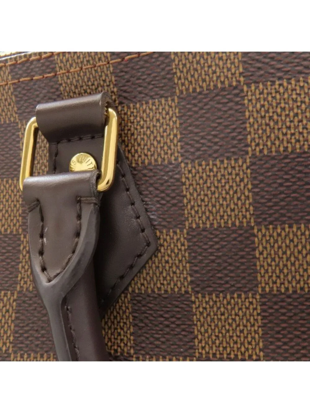 Louis Vuitton brand louis