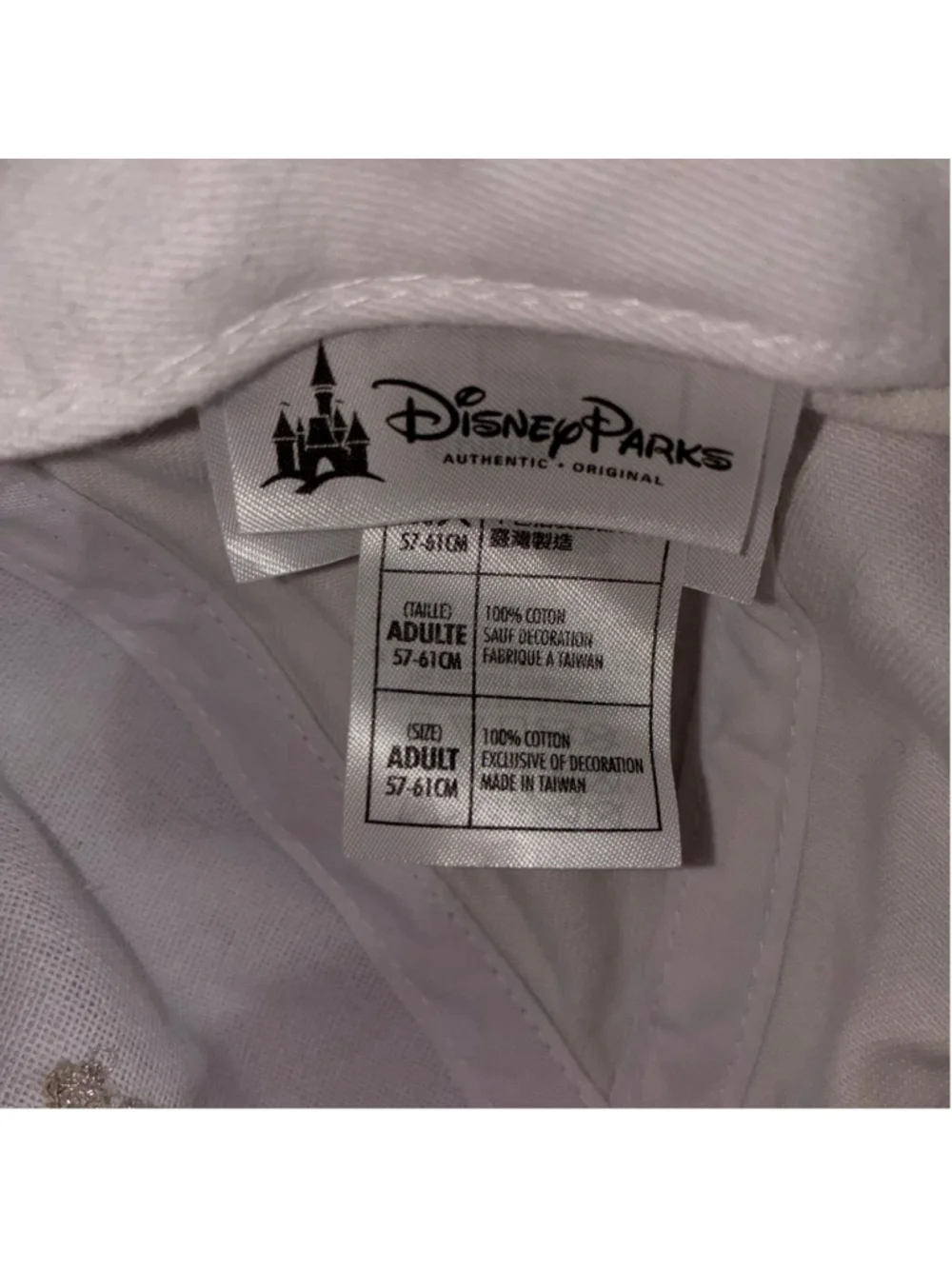 Disney this parks