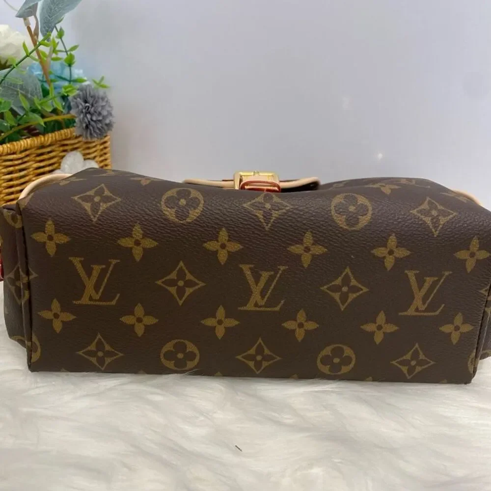 Louis Vuitton brand louis