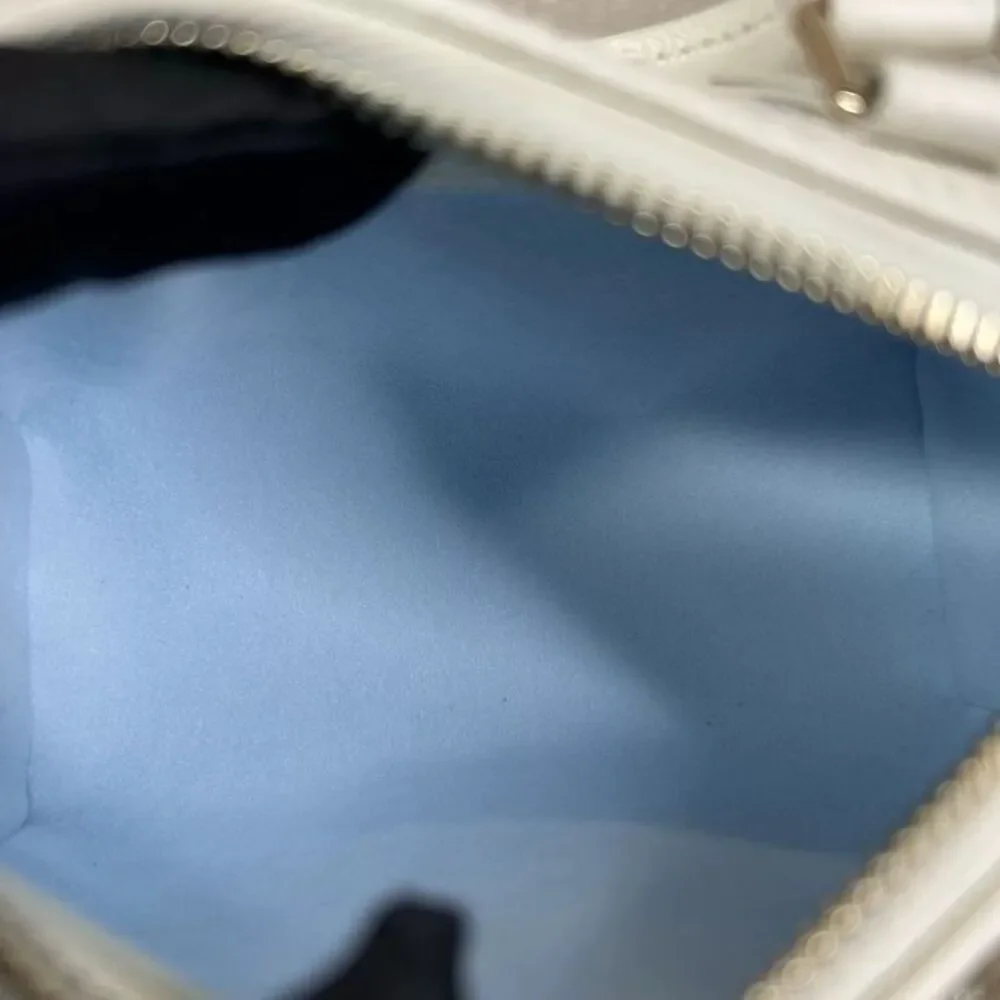 Louis Vuitton brand louis