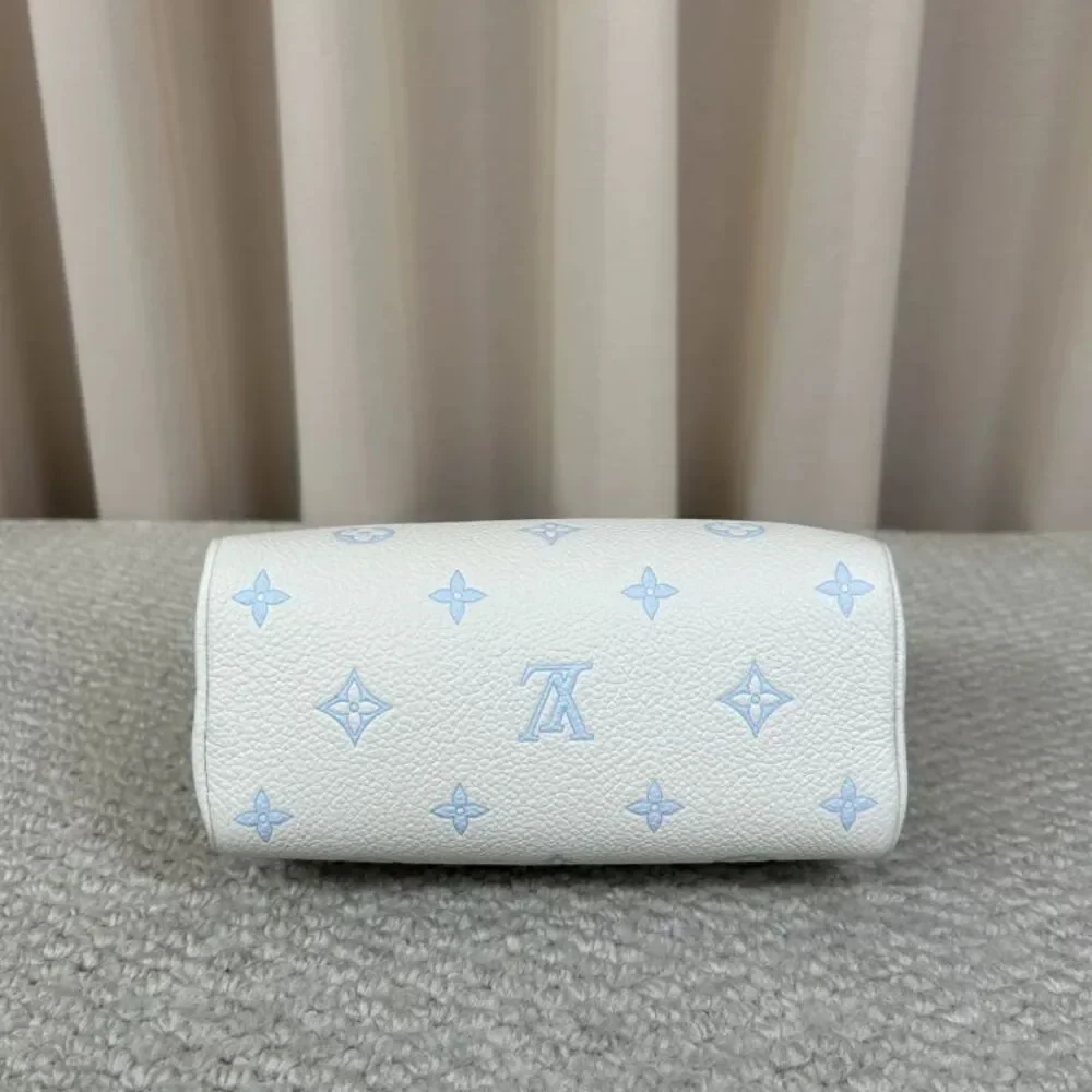 Louis Vuitton brand louis
