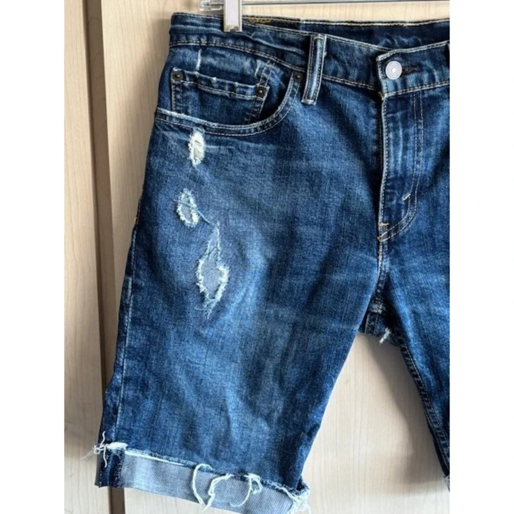 Levis levis 511