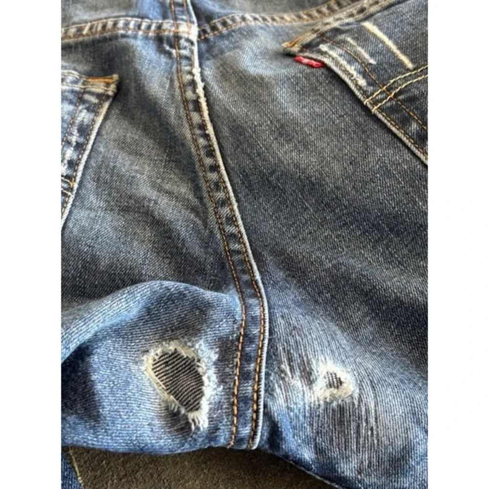 Levis levis 511