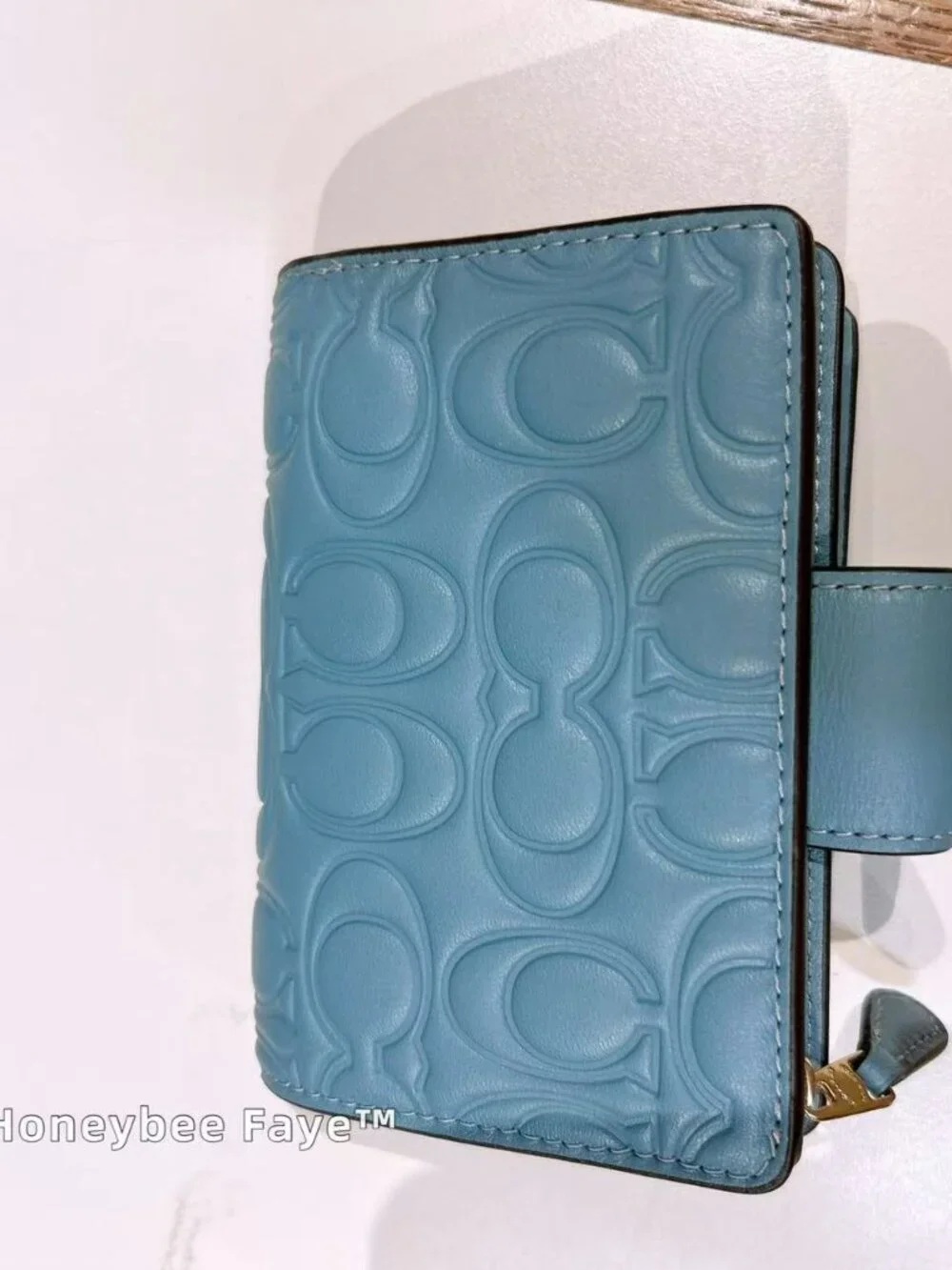 Coach nwt maggie