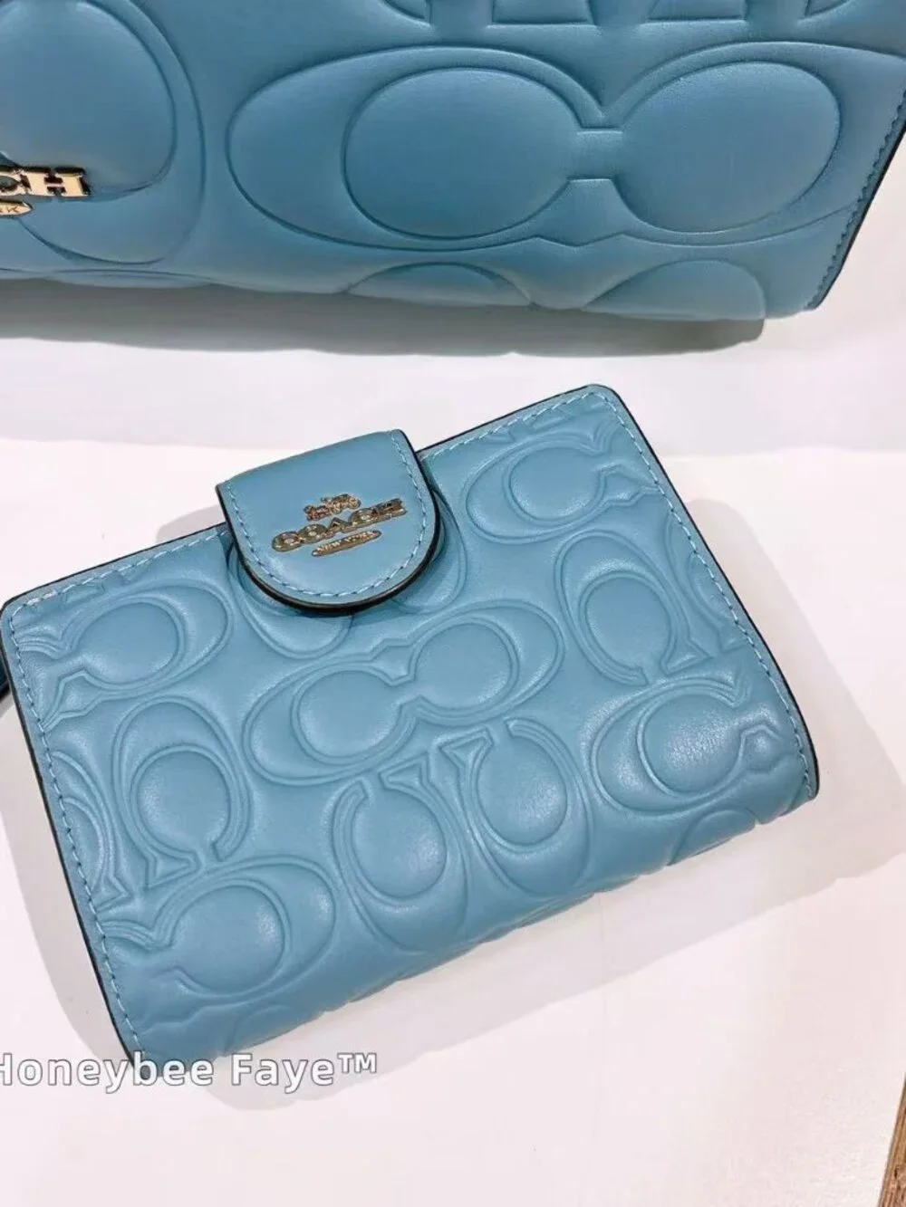Coach nwt maggie