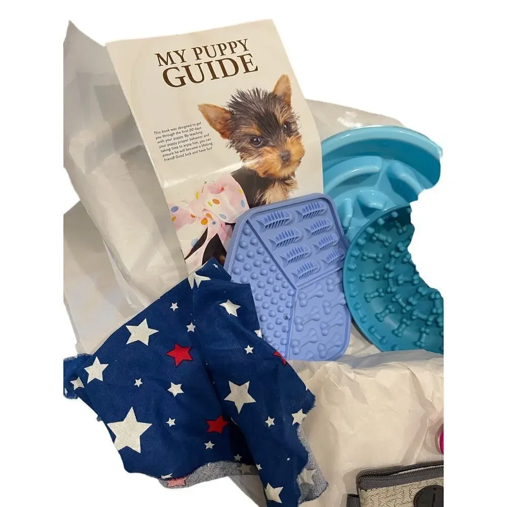 Puppy beginning items  10 puppy essentials for your puppy