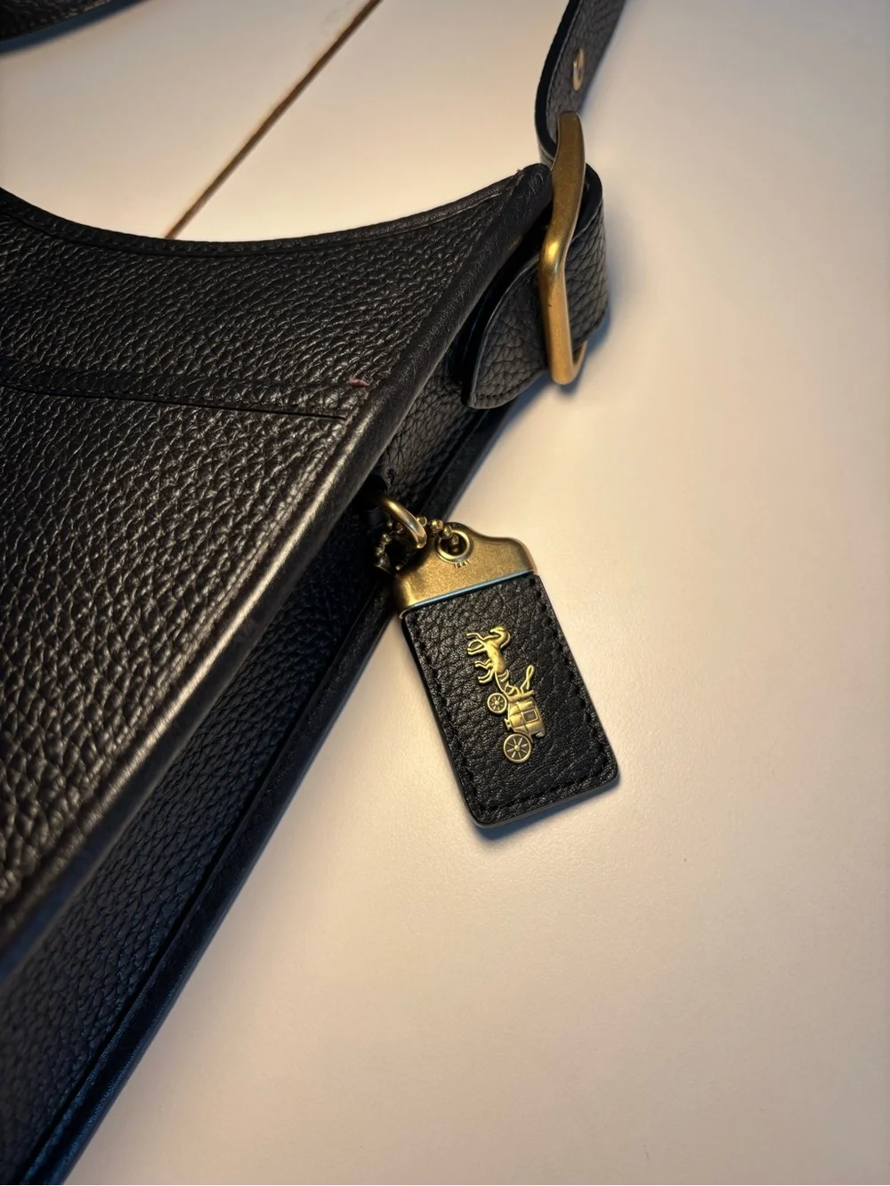 Coach chic retro handbag